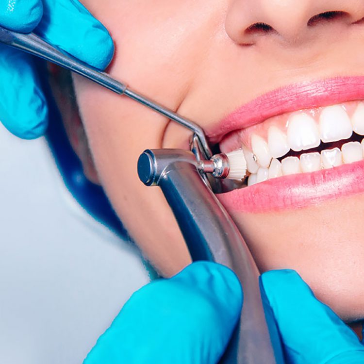 Dentist Newberry Fl